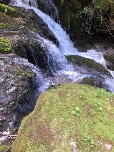 A cascading waterfall rushes over moss-covered rocks and boulders in Zasele, Bulgaria. The water appears white and foamy due to motion blur. The moss is a vibrant green, and the rocks vary in color from dark grey to brown. Some foliage and tree branches are visible in the upper left corner.