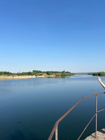 A vertical, wide shot captures a serene, wide, calm river under a clear, bright blue sky. The riverbanks are lined with lush green trees and vegetation. Several white birds, possibly swans, are visible dotting the water's surface, with a few dark birds also present. In the foreground, a rusty metal railing, likely part of a pier or observation deck, is angled towards the right side of the frame, with a concrete structure visible at the bottom right. A person's right arm and hand are raised in a wave, positioned on the far right edge of the image, partially obscuring the view of the railing. The scene is likely located on the Nistru River in or near Ustia, Moldova, given the characteristic landscape of the region.