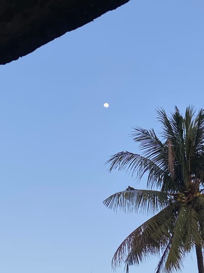 A full moon is visible in the clear, light blue sky, positioned slightly above the center of the frame. In the lower right portion of the image, the fronds of a palm tree, laden with small green coconuts, reach upwards. The fronds are dark green and appear to be blowing gently in the breeze. In the upper left corner of the image, a dark, textured object, possibly a roof or ledge, partially obstructs the view of the sky. The overall scene suggests an outdoor setting, likely in a tropical or subtropical climate, such as Kembang Harum, Indonesia, during daylight hours.