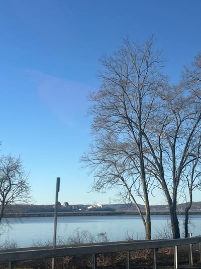 The image displays a clear blue sky over a wide body of water, likely the Hudson River, viewed from a slightly elevated position in the Town of Cortlandt, United States of America. In the foreground, a metal guardrail runs horizontally across the bottom, with a thin, dark vertical signpost positioned just left of center. Several tall, bare deciduous trees with dark, intricate branches frame the scene, primarily on the right and extending into the top left. The water is calm, reflecting the bright sky. On the distant bank, across the water, two prominent dark grey, dome-shaped structures, indicative of a power plant (likely Indian Point), are visible. To their right, white plumes of steam or smoke rise from industrial buildings, with a tall lattice tower further right on a distant hill. The far bank is lined with dormant vegetation and low hills under the clear sky. There are no people visible.