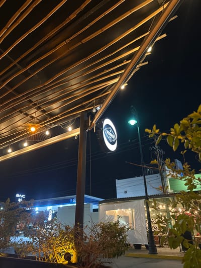 An outdoor scene at night with the view tilted upwards. A structure of bamboo slats creates a partial ceiling. A round, illuminated sign reads "TONGOU". Streetlights and decorative lighting illuminate the scene. A white tent-like structure is visible beyond the sign, along with parts of a building with "IVE" on it. Foliage hangs from above and to the side.