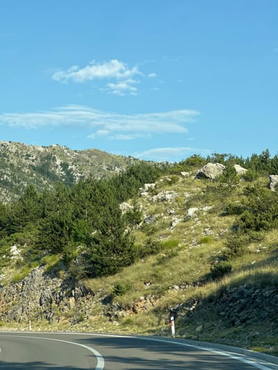 The image shows a scenic view of a winding asphalt road in Kopito, Montenegro. The road curves to the left in the foreground, bordered by a white line and a concrete curb. The landscape is dominated by a steep, rocky hillside covered in lush green vegetation, including dense pine trees and scrub. Large boulders are scattered across the slope. In the background, a larger, more rugged mountain range is visible, with patches of sparse vegetation and exposed rock. The sky above is a clear, bright blue with a few scattered white clouds. The lighting suggests it is daytime, likely mid-morning or afternoon, with sunlight casting shadows on the road and hillside. There are no people or vehicles visible in the frame.