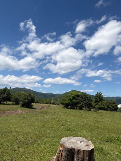 The image depicts a serene, pastoral landscape under a bright blue sky dotted with fluffy white clouds. The foreground features a weathered tree stump, its rough texture and rings clearly visible. Beyond the stump, a lush green meadow stretches out, interspersed with small white wildflowers. A dirt track winds its way through the grass, leading towards a line of trees and shrubs. In the middle ground, rolling hills covered in dense green foliage rise, forming a backdrop to the scene. Several utility poles with power lines are visible, hinting at the presence of human infrastructure. The overall impression is one of a peaceful, natural setting. The image is a photograph taken in the city of Kamennomostskiy, Russia, likely during daylight hours. There are no people or animals visible in the frame, and no specific actions or interactions are captured.