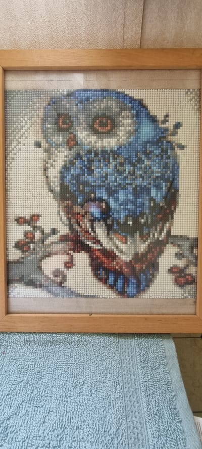 A framed diamond painting of an owl is displayed on a textured wall. The owl is rendered in shades of blue, gray, white, and red, with its eyes a striking orange. The painting is enclosed in a simple wooden frame. Below the framed artwork, a light blue textured towel is visible, partially obscuring the bottom of the frame and the wall. The background wall has a light, speckled texture. The scene does not provide any specific information about the city of Naaldwijk, Netherlands.