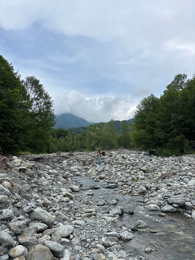 This image captures a wide, rocky riverbed within a mountainous, forested landscape in the city of Lagodekhi, Georgia, under an overcast sky. A single individual, appearing female, is positioned in the middle ground, slightly right of center, standing on the smooth, grey rocks. She wears dark trousers and a reddish-brown top. A narrow stream of clear water flows from the background towards the foreground, winding through the extensive accumulation of various-sized rocks and pebbles. Scattered branches and tree debris are visible among the rocks, particularly on the left side of the riverbed. Dense green deciduous trees line both banks of the river, forming a thick forest that extends up the slopes. In the distant background, large, forested mountains rise, with their peaks partially obscured by low-hanging clouds or fog. The sky is entirely overcast with light grey and white clouds.