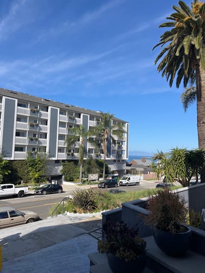 The photograph captures a sunlit street scene with a tall building on one side. Palm trees are visible, framing the blue sky. The building, with its many balconies, stands alongside a street lined with parked vehicles. Potted plants adorn a balcony, adding greenery. The distant view includes other buildings and a glimpse of the ocean.