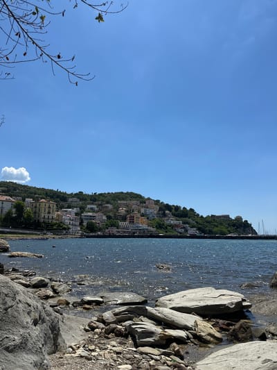 The image depicts a coastal scene in Agropoli, Italy, featuring a rocky shoreline in the foreground, where several large, gray rocks are visible. The Tyrrhenian Sea extends into the middle ground, with reflections of sunlight dappling its surface. Rising from the shoreline is a hillside densely populated with buildings, which appear to be residential and possibly commercial. These structures are interspersed with trees, creating a blend of urban development and natural greenery. The top of the hill is marked by what appears to be a fort, or some other historical building. The sky is blue with few clouds. Bare tree branches are visible to the left.