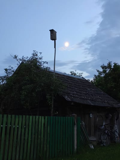 The image depicts a rural scene in the Navadvórski sel'ski Savét, Belarus, at dusk. A wooden birdhouse stands on a tall post to the left of a weathered, wooden building with a dark, tiled roof. A large tree with dense foliage partially covers the left side of the building. In front of the building, a green wooden fence runs along the foreground. Leaning against the building are gardening tools, including shovels, and two bicycles are parked to the right. The sky above is a pale blue with scattered clouds, and a luminous moon is visible, partially obscured by clouds. The overall atmosphere is subdued and tranquil, characteristic of twilight in a rural setting.