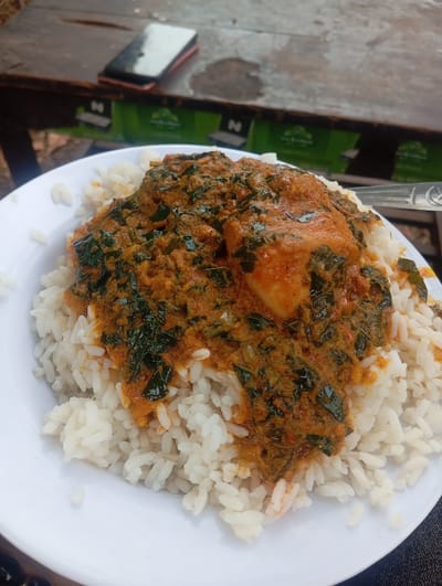 A white round plate holds a meal consisting of white rice topped with a reddish-orange stew containing dark green leafy vegetables and a piece of light-colored protein. A metallic spoon handle is visible on the right side of the plate. The plate is situated on a dark, wet, wooden table surface. A dark smartphone with a light-colored case lies face down on the table to the upper left, out of focus. In the blurred background behind the table, multiple green and white banners are visible, each displaying a stylized 'N' logo, the text "Nuts & Grains," and "A Taste of Nature." This scene is located in the city of Egede, Nigeria.