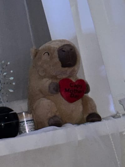 An image taken in the Cherwell District, United Kingdom, depicts a light brown capybara-shaped figurine positioned on a white surface. The figurine, appearing to be plush or ceramic, has a dark brown snout, faint horizontal lines representing closed eyes, and a small upward curve on its left cheek suggesting a smile. It holds a red, heart-shaped object in its front paws, which bears the embroidered or printed text "Capy Mother's Day" in white or light-colored lettering. To the immediate left of the figurine, a dark, possibly black, cylindrical object is partially visible, alongside a smaller, patterned container or candle. Further left, a decorative item with a reflective, snowflake-like or starburst pattern is partially visible. The background consists of a vertical gray panel to the left and light-colored, possibly white, draped fabric to the right, illuminated by soft, ambient light.