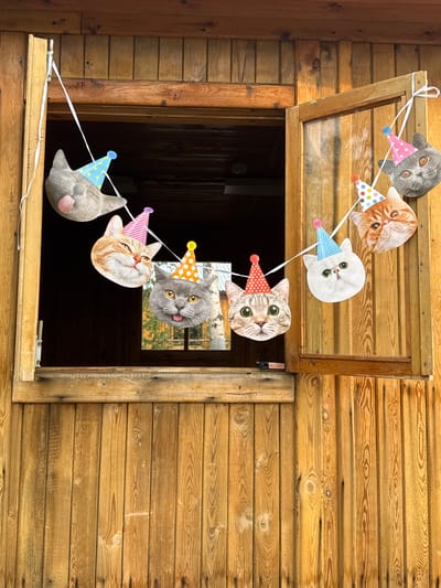 In the city of Valok, Russia, a wooden structure with an open window is adorned with a festive cat-themed garland. The garland, made of cutout cat faces wearing party hats, is strung across the window opening. The faces depicted are of various cat breeds and expressions, adding a playful touch to the rustic wooden exterior. The scene suggests a celebratory atmosphere, possibly for a birthday or a special occasion.