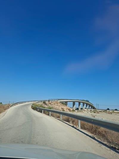 A wide, curved, paved road ascends towards a modern concrete overpass under a clear, bright blue sky. The road is bordered by a silver metal guardrail on the right and dry, sparse vegetation on the left. The overpass, with its arched structure and multiple vertical supports, spans across the landscape. The terrain surrounding the road and under the overpass appears arid and dry, with patches of scrub and dirt. In the far distance, a few electrical poles are visible. The image seems to capture a scene from a vehicle, as indicated by the foreground which suggests a dashboard or hood. The location is identified as Callosa de Segura, Spain.