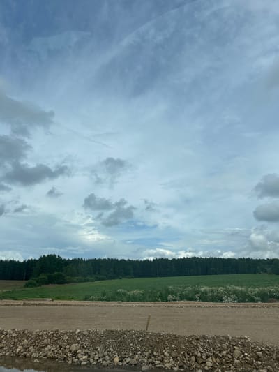 The image depicts a wide outdoor landscape in the Плешчаніцкі сельскі Савет, Belarus. In the foreground, a disturbed area of brown dirt and gravel forms a barrier, with a shallow pool of water visible at the lower left. A short wooden post stands embedded in the dirt. Behind this, a green field stretches horizontally, interspersed with white wildflowers. A dense line of dark green trees forms a treeline in the mid-ground. The sky above is a mix of light and dark gray clouds against a pale blue backdrop. No people are present in the image.