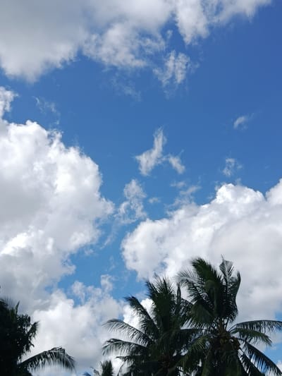 The image shows a clear blue sky with scattered white clouds. In the foreground, the tops of several coconut palm trees are visible, with their fronds reaching upwards. The scene appears to be outdoors, likely in a tropical or subtropical location given the presence of palm trees. The lighting suggests it is daytime, with the sun illuminating the clouds and foliage. No people are present in the image. The overall impression is one of a bright, sunny day. The location in Lebbae, Indonesia, implies a coastal or island environment, consistent with the tropical vegetation.