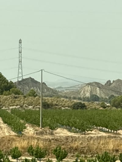 The image shows a rural landscape in Ulea, Spain. In the foreground, there are rows of green trees, possibly an orchard, with dry, brushy ground between them. In the middle ground, more rows of green trees are visible, with a white utility pole and wires running across the scene. Behind the trees, there are rolling hills and mountains, with a tall, lattice-like power pylon in the distance to the left. The sky is a pale, hazy blue. The scene is bright and appears to be taken during the day.