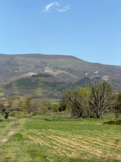 The image displays a landscape scene near Mirkovo, Bulgaria. On the left is a clear blue sky with a small white cloud. The background is dominated by a large mountain covered in green vegetation, showing signs of erosion in the form of lighter-colored scars running down its slopes. Adjacent to the mountain, a meadow stretches out, displaying a mixture of green and brown vegetation. Several bare trees with intricate branch patterns are scattered along the boundary between the meadow and the mountain.