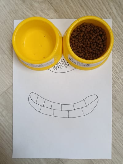 The image shows two yellow pet bowls placed on a white sheet of paper, which is laid on a light wooden floor. The left bowl is empty, while the right bowl is filled with brown pet food. The paper has a hand-drawn smile with many teeth. The placement of the bowls above the smile creates the appearance of a face. The image is taken from a top-down perspective. There is no indication of the city of Pokrov, Ukraine, in the image.