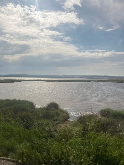 This is a vertical landscape photograph of a body of water with vegetation along its edge. The sky, which occupies the left half of the image, is filled with a mixture of white and grey clouds against a pale blue background. Sunlight filters through the clouds, creating bright patches and casting shadows.
The right half of the image is dominated by a large expanse of water, reflecting the sky and sunlight with a shimmering effect. The water appears calm with gentle ripples. Along the right edge of the water, dense green vegetation, appearing as bushes and tall grasses, grows. In the distance, a hazy mountain range can be seen on the horizon, separating the water from the sky. The time of day appears to be late morning or early afternoon, given the brightness of the sunlight and the cloud formations.
The overall mood of the image is serene and natural, suggesting an outdoor environment like a lake, estuary, or coastal wetlands, possibly near Narbonne, France, given the context. No people or specific objects are clearly identifiable, focusing the scene on the natural elements of sky, water, and plant life. There is no visible text in the image.