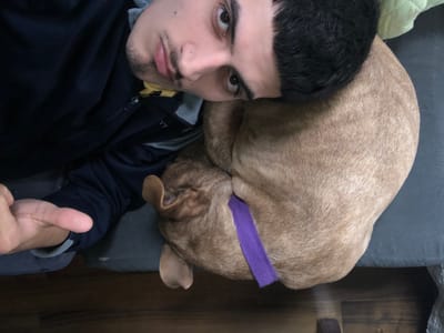 A man lies on a grey sofa next to a tan dog. The dog is curled up next to him and has a purple collar. The man is wearing a dark blue jacket with a zipper and his thumb is visible. The location is likely indoors. There is wood paneling in the background. There is no evidence to suggest this image was taken in Beccar, Argentina.