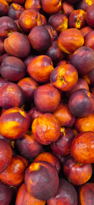 The image shows a close-up, overhead view of a large pile of ripe nectarines. The nectarines are round to slightly oval, with smooth, thin skin. Their colors range from deep red and purple to bright orange and yellow, with many exhibiting a gradient of these hues. The texture appears slightly fuzzy in places, typical of nectarines. The fruits are tightly packed, obscuring the surface they are resting on, which appears to be a container or display. The lighting suggests an indoor environment, possibly a market or grocery store. There are no people or any indication of the specific location within Navalcarnero, Spain.
