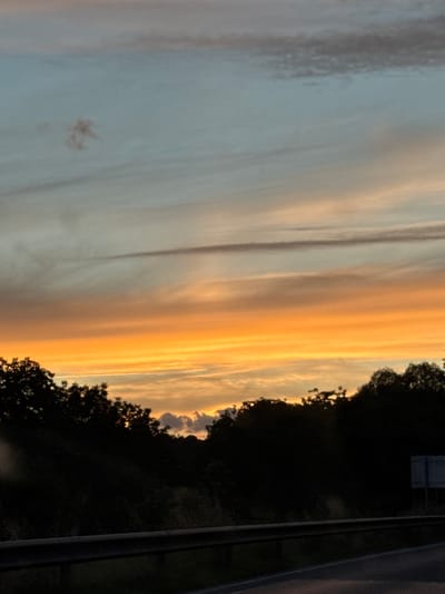 The image depicts a sunset scene viewed from a roadside in Struino, Bulgaria. Silhouetted trees form a dark band across the lower half of the frame, with a metal guardrail visible in the foreground. The sky above is painted with streaks of orange and yellow, transitioning into pale blue, with some wispy clouds. The overall impression is of a natural landscape at dusk.