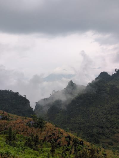 The image depicts a mountainous landscape, likely in Lũng Phìn Commune, Vietnam, under a cloudy and misty sky. In the foreground, lush green grass and trees are visible on a slope. Further up, a terraced field with dry, brown crops, possibly corn, occupies a significant portion of the hillside. A small, rustic structure with a dark roof is nestled among the crops. On the left side of the image, a steep, tree-covered mountainside descends into a valley. On the right, another densely forested mountainside rises, partially shrouded in mist and fog, with jagged peaks in the background peeking through the clouds. The overall atmosphere is serene and somewhat dramatic due to the weather conditions.