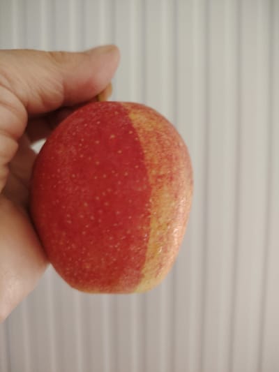 A person's hand is holding a red and yellow apple. The background is a white surface with vertical lines. The image appears to be taken in an indoor setting. There is no visible indication of the location being in the city of Кривец, Russia, or any other specific geographic location.