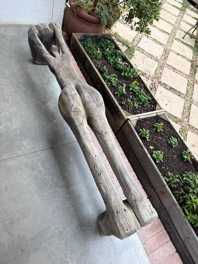 The image shows an outdoor setting in Theewaterskloof Nu, South Africa. A weathered, two-person wooden bench rests on a concrete patio. To the left, two rectangular wooden planters with plants sit near a pot with foliage. In the background, a path of paving stones and gravel is visible.