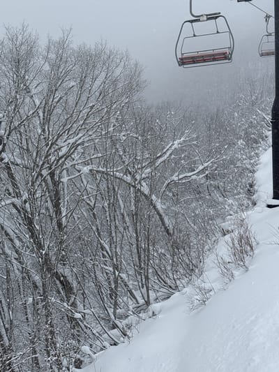 A snow-covered winter landscape features bare trees with intricate branches weighed down by snow. The scene appears to be captured from a high vantage point, possibly a ski lift, as a chairlift is partially visible. A thick blanket of snow covers the ground and clings to the vegetation, creating a stark contrast between the white snow and the dark tree branches. The overall atmosphere is serene and wintry, with a sense of quiet solitude.