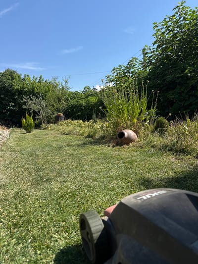 The image depicts a sunny day in a garden located in Sklave, Bulgaria. The foreground shows a portion of a black lawnmower, indicating recent or ongoing lawn maintenance. The lawn itself is green and well-kept, stretching into the middle ground.
In the middle ground, a terracotta pot lies on its side amongst tall green plants. To the left, a small, cone-shaped evergreen tree stands on the lawn. Further back, a dense hedge of green foliage forms a natural boundary, with taller trees visible beyond. The sky is a clear, bright blue with a few wispy clouds. The overall impression is of a peaceful, domestic garden scene. There are no people visible in the image.
