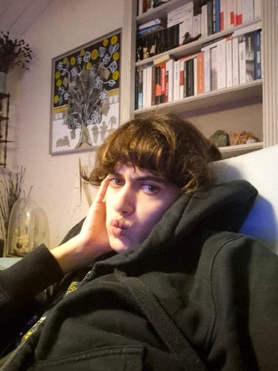 A young individual with light brown, curly hair and bangs is depicted from the chest up, positioned slightly right of the frame's center, in an indoor setting in Châtelaillon-Plage, France. The subject looks directly at the camera, lips pursed in a "duck face" expression, with the right hand raised and fingers resting against the right cheek. The individual wears a black hooded sweatshirt with the hood resting behind the head and shoulders, revealing a zipper and a subtle yellow pattern on an inner garment. The background to the left features a light-colored wall with a framed artwork displaying a stylized tree with yellow circular elements and white outlines against a dark background. Below the artwork, a vase containing dried branches and a glass cloche with indistinct contents are visible. To the right, a tall, light-colored bookshelf filled with numerous books, many with French titles, occupies the frame. A small duck figurine rests on an upper shelf, and decorative stones are present on a lower shelf. Artificial lighting illuminates the scene.