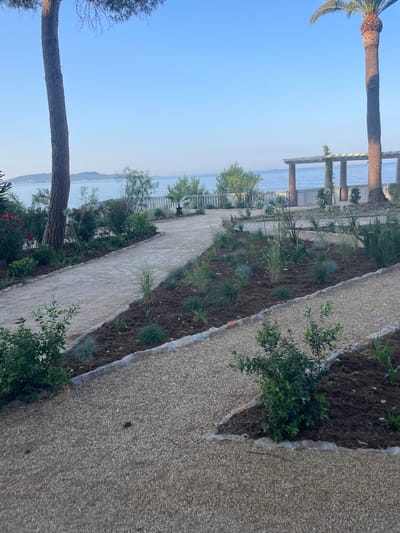 A sunlit, overhead shot captures a newly landscaped garden bordering a body of water, likely the Mediterranean Sea, in Carqueiranne, France. The scene is dominated by gravel pathways winding through beds of dark soil, dotted with a variety of plants, including grasses, shrubs, and some blooming flowers in shades of red, purple, and white. Mature trees, a tall pine on the left and a palm tree on the right, frame the view. In the background, a white balustrade runs along the edge of the property, separating the garden from the serene blue water. Beyond the water, a distant coastline with rolling hills is visible under a clear, pale blue sky. A pergola structure with stone columns and a roof offers a shaded seating area near the water's edge. There are no people or animals visible in the image. The overall impression is one of tranquil, coastal beauty.