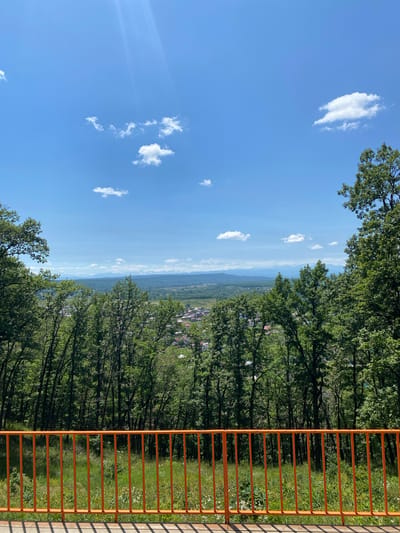 The image captures a panoramic view from an elevated vantage point, overlooking a landscape that includes a town nestled amidst lush greenery and distant mountains under a bright blue sky dotted with fluffy white clouds. In the foreground, an orange metal railing runs horizontally, with its vertical supports casting shadows on a paved surface. Beyond the railing, a slope covered in vibrant green grass and scattered white wildflowers descends towards a dense forest of deciduous trees. The trees form a thick canopy, with the varying shades of green indicating their fullness. Through breaks in the trees, parts of a town are visible, characterized by houses with reddish-brown roofs. In the far distance, a mountain range stretches across the horizon, its peaks lightly dusted with snow, indicating a significant elevation and possibly a cooler climate in that region. The overall scene suggests a serene and picturesque natural setting with human habitation integrated into the environment. The location is identified as being in the city of Krasnooktiabrskiy, Russia.