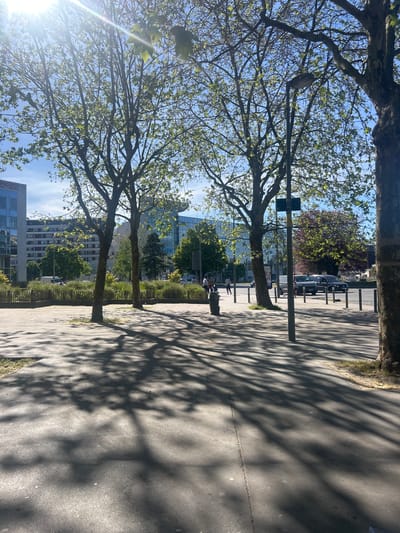 The image depicts a sunlit urban scene in Noisy-le-Grand, France, likely during a clear spring day, evidenced by the bright green, newly emerging leaves on the trees. The view is oriented along a tree-lined pathway or sidewalk, with the sun low on the left, causing significant lens flare and long, distinct shadows of tree branches to stretch across the ground.
Several large, deciduous trees with budding foliage dominate the left side of the frame, their branches reaching upwards against a clear blue sky. On the paved pathway to their right, tree shadows create intricate patterns. In the mid-ground, small figures, likely people, can be seen walking or standing on the path.
Beyond the path, a street is visible, with several cars parked along its edge and possibly traffic in the distance. The background features modern urban architecture, including multi-story buildings with reflective glass facades. On one prominent building, the text "PRO BTP Groupe" is clearly discernible, a French social protection group, confirming the location context. Other buildings and dense greenery are also scattered throughout the background. The overall impression is one of a bright, active urban environment with a strong presence of nature.