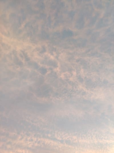 The image depicts a sky filled with thin, wispy clouds, illuminated by a soft, diffused light, suggesting either dawn or dusk. The clouds exhibit a pale pinkish-orange hue, tinged with light blue from the sky. The texture of the clouds is feathery and scattered, creating a mottled pattern across the frame. There are no visible structures, people, or any other elements that would indicate a specific location within the city of Jambay, Uzbekistan, or any urban environment. The scene is purely atmospheric.
