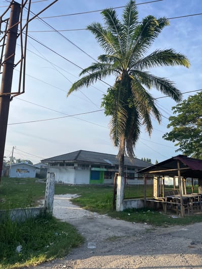 This media file depicts an outdoor scene in Bukitpanjang Dua, Indonesia, likely during the late afternoon given the warm, low-angled sunlight illuminating the right side of the frame. The sky is a clear, pale blue with a few wispy clouds.

The primary subjects are a tall palm tree with vibrant green fronds, extending diagonally across the left and center of the image. Below the palm tree, and to the right, are several buildings. The closest building has a weathered, open-sided structure with a corrugated metal roof, supported by wooden posts. Beyond this, a two-story building with a gray, sloped roof and white-painted walls is visible. A smaller building with a yellow and blue facade is in the foreground right, displaying text that reads "DORMITORY" and "MENIPU". A gravel path runs alongside the buildings, with patches of green grass growing beside it, some littered with plastic debris.

Overhead, a network of electrical wires crisscrosses the sky, supported by utilitarian poles and metal structures, suggesting an inhabited area. The overall impression is one of a modest, perhaps somewhat rural or developing, community. There are no people visible, and the scene is static, suggesting a moment captured rather than an ongoing event. The lighting and clear sky contribute to a feeling of quietude.