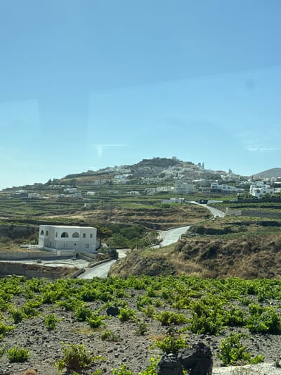 A bright, clear day over a terraced hillside featuring a vineyard in the foreground. The vineyard has neatly planted rows of young, vibrant green grapevines. Rocky, dark soil covers the ground, with larger dark rocks visible among the plants.

In the midground, a winding asphalt road is visible, with one white car driving on it. To the left of the road, a modern, two-story white building with arched windows and doorways stands on a lower level of the hillside. The building is surrounded by some dry vegetation and stone walls.

The background of the image is dominated by a larger hillside covered in white buildings, indicative of a village or town. These buildings are clustered together and spread across the slope, with a few distinctive blue-domed churches visible among them. The architecture appears to be traditional Cycladic style. The sky is a clear, pale blue, with some reflections on the surface the photo was taken from. The overall impression is one of a Mediterranean landscape. The scene is located in Thira, Santorini, Greece.