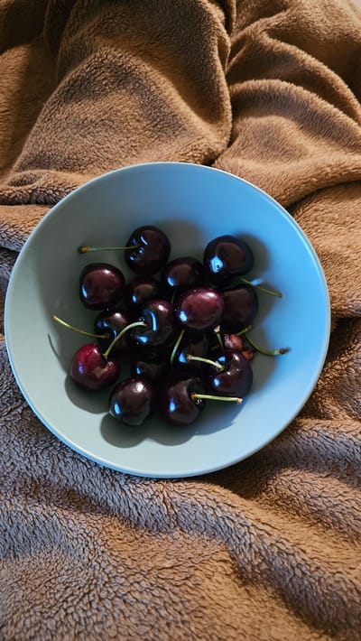 A light blue bowl filled with dark red cherries sits on a brown, fuzzy blanket. The cherries are plump and glossy, with visible stems. The blanket is draped, creating folds and shadows around the bowl. There is no indication of the location in María De Huerva, Spain.