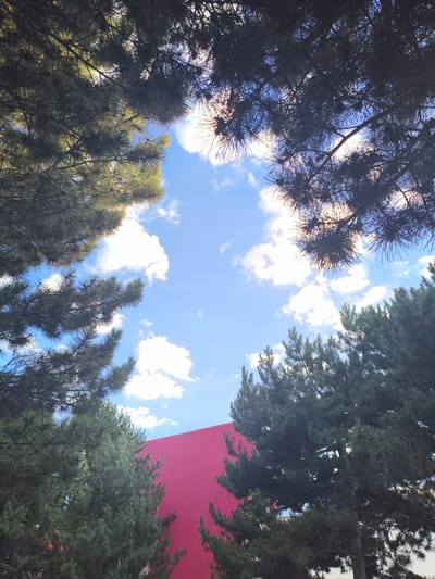 An outdoor, ground-level, medium shot captures pine trees against a bright blue sky with scattered white clouds. The top portion of the image is dominated by the dark green needles of pine branches, silhouetted against the sky. In the lower portion of the image, a bright red-tiled roof of a building is visible between the trees. The scene appears to be set in the city of Bayet, Kyrgyzstan. There are no people or animals present in the image. The lighting suggests it is daytime, with the sun filtering through the tree branches.