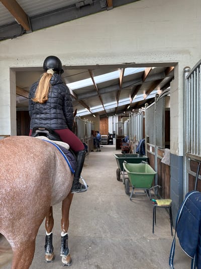 An indoor equestrian stable in Enghien, Belgium, is depicted, viewed from the rear of a mounted rider. A person with long blonde hair, wearing a black riding helmet, black quilted jacket, maroon breeches, and black riding boots, is seated on a light brown or roan horse. The horse is equipped with a saddle, a blue and white saddle pad, and black protective boots on its lower legs.
The stable interior features a concrete aisle with rows of horse stalls lining both sides. The stalls have wooden lower sections and metal bar upper sections. The roof consists of translucent corrugated panels supported by metal and wooden beams, allowing natural light into the space. On the right side of the aisle, two green wheelbarrows, one two-wheeled and one single-wheeled, are parked. A small black stool topped with a yellow brush and a blue saddle pad draped over an object are also visible on the right. Further down the aisle, two additional individuals are observable; one in blue attire appears to be attending to a horse within a stall. The environment suggests an active stable operation.