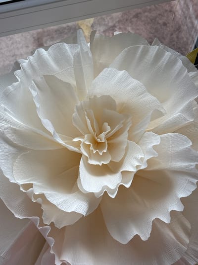 This is a close-up, overhead shot of a large, handmade paper flower. The flower is a pale cream or off-white color and appears to be made from crepe paper, indicated by the fine, crinkled texture of the petals. The petals are layered and ruffled, with gently waved edges, creating a soft, voluminous effect. The center of the flower is tightly packed with smaller, intricately folded petals, giving it depth and dimension. The lighting suggests it is daytime, with soft shadows cast by the petals, highlighting their texture and form. The background is softly blurred and appears to be a textured surface, possibly fabric or a wall, in muted tones of brown and pink. A sliver of a light-colored edge, potentially a window frame or a piece of furniture, is visible on the left side of the image. There is no visible text or indication of people or a specific event. The image focuses entirely on the intricate detail and delicate beauty of the paper flower, suggesting it might be a decorative item for a special occasion or a craft project. The overall impression is one of handcrafted elegance and softness.
