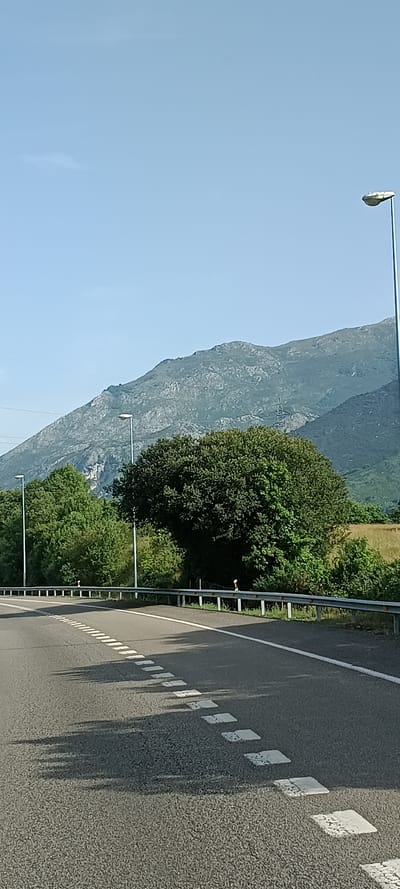 The image depicts a scenic view of a road with a mountain range in the background, likely taken in the vicinity of Colunga, Spain. The road, made of asphalt, curves to the left and is marked with white dashed lines. A silver guardrail runs along the right side of the road. Several streetlights are visible along the roadside.

In the midground, lush green trees form a dense line, with a particularly large, rounded tree standing out in the center. Beyond the trees, a grassy field with some brown patches is visible, leading towards the base of the mountains. The mountain range itself is rugged and covered with vegetation, with a clear blue sky above. The lighting suggests it is daytime, possibly late afternoon due to the shadows cast on the road. No people or vehicles are present in the image.