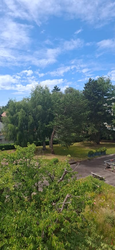 The image depicts an outdoor scene under a bright blue sky with scattered white clouds. The perspective is from a high vantage point, looking down and across a green landscape. In the foreground, lush green foliage from trees with visible branches dominates the lower right portion of the frame. To the left and extending upwards, a large expanse of bright blue sky is visible, interspersed with wispy white clouds.
Beyond the immediate foliage, a grassy area with scattered wildflowers can be seen, transitioning into a paved path. Along the path, there are a couple of dark-colored benches and some rectangular planters. Further back, several mature trees with dark green foliage create a dense canopy. In the distance, elements of buildings are partially visible, suggesting an urban or semi-urban setting.
The scene appears to be a park or a garden area, possibly adjacent to residential buildings. The lighting suggests it is daytime, with clear weather conditions. The overall impression is one of a peaceful, natural environment on a pleasant day. There is no visible text in the image.