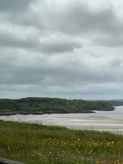The image depicts a coastal landscape under a cloudy sky. In the foreground, a grassy slope is covered with numerous small yellow flowers and tall grass. Beyond the grassy area is a wide sandy beach with gentle waves lapping at its edge. In the background, a green, undulating hillside with rocky outcrops rises from the shore. The sea extends to the horizon, where it meets the gray, overcast sky. The overall impression is one of a natural, somewhat rugged coastal environment. The location appears to be a beach with a view of the sea, hills, and a cloudy sky.
