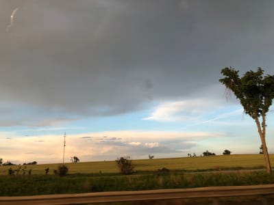 This image depicts a landscape scene, likely from a vehicle, as indicated by the blurry foreground and the perspective. The main subjects are a vast, golden field of crops stretching across a rolling hill under a dramatic sky. A tall, thin cell tower stands prominently in the middle distance, with a few scattered trees dotting the landscape. On the right side of the frame, a large, leafy tree with a somewhat unusual, heart-like shape commands attention. The sky is a mixture of heavy, dark clouds overhead and lighter, more colorful clouds in the distance, suggesting either dawn or dusk, or perhaps an approaching storm. The overall mood is one of natural beauty with a touch of industrial intrusion from the cell tower. The location is identified as Innisfil, Canada. There is no visible text in the image.