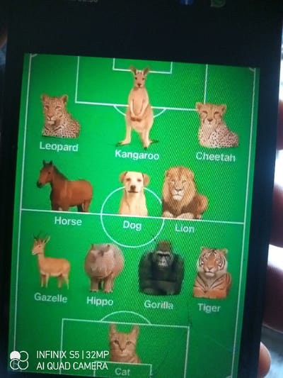A smartphone is held in a right hand, visible on the right side of the frame, with fingers partially obscuring the device. The phone's screen displays a digital image featuring various animals arranged in a formation resembling a football team on a bright green background with white field lines. Each animal has its common name labeled below it in white text.
From top to bottom and left to right, the visible animals include:
* Top row (partially visible): Leopard, Kangaroo, Cheetah.
* Middle row: Horse, a light-colored Dog (encircled by a white outline), Lion.
* Bottom row: Gazelle, Hippo, Gorilla, Tiger.
* Bottom-most row (partially visible): Cat.
A white camera watermark "INFINIX S5 | 32MP AI QUAD CAMERA" is present in the lower-left corner of the phone screen. The screen exhibits minor visual imperfections or scratches. The scene is located in the city of Awjaw, Nigeria.