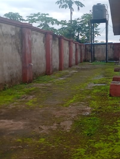 The image depicts an outdoor scene, likely a courtyard or yard, with a high concrete wall running along the left side. The wall is painted a light grey with distinct reddish-brown vertical pillars. Several spigots or taps are visible on the wall at waist height. The ground is covered with a mix of dirt and lush green moss or grass, suggesting damp conditions. In the background, a tall structure supporting a black water tank is visible, along with trees and a cloudy sky. To the right, part of a building is visible, as are some red concrete structures, possibly benches or planters. The location is identified as Ekosa, Nigeria. There are no people visible in the image.