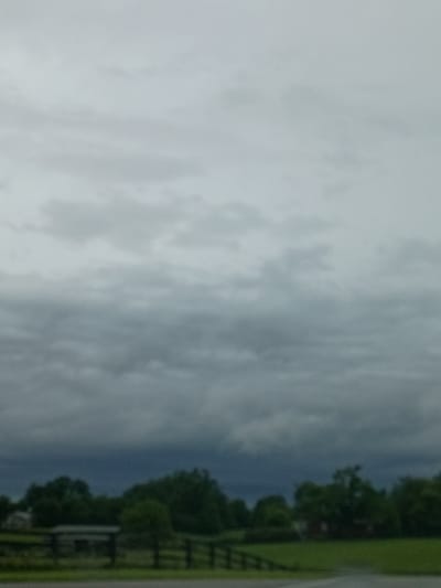 The image shows a slightly out-of-focus, overcast sky above a rural landscape. In the lower portion of the image, dark green trees and some low-lying structures are visible. A dark fence runs horizontally across the scene. The overall impression is of a cloudy day in a rural area, possibly a farm or countryside. The location is specified as Nicholasville, United States of America.