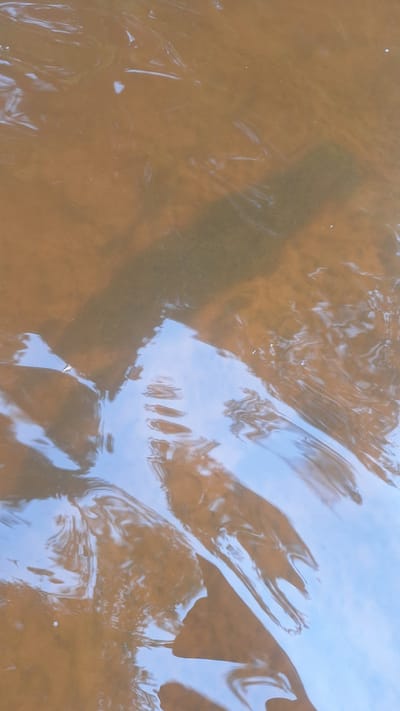 The image shows a close-up view of murky, shallow water with ripples. A long, dark shadow is cast across the bottom portion of the frame. The water is a muddy brown, with hints of orange and yellow. The shadow appears to be from an object or person above the water, though no other details are visible. The light reflecting off the water creates streaks of blue, suggesting the sky is visible from this vantage point. The overall impression is one of a natural, undisturbed environment. The image location is identified as Vālodzes, Latvia.