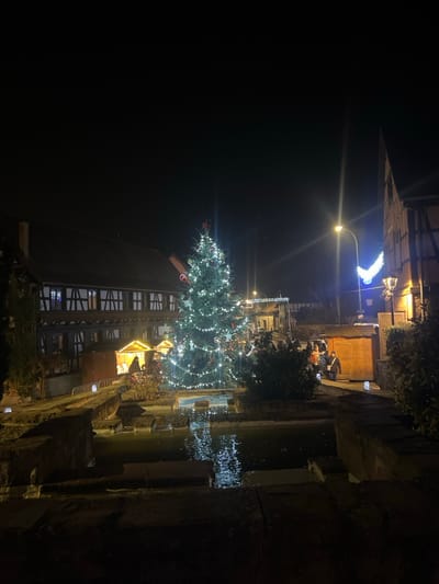 A tall, decorated Christmas tree stands illuminated in a European town at night, its reflection shimmering in the nearby water. Traditional half-timbered buildings line the canal-like waterway. A street lamp shines above a blue light display near an outdoor gathering. The scene, captured at night, is festive and serene.